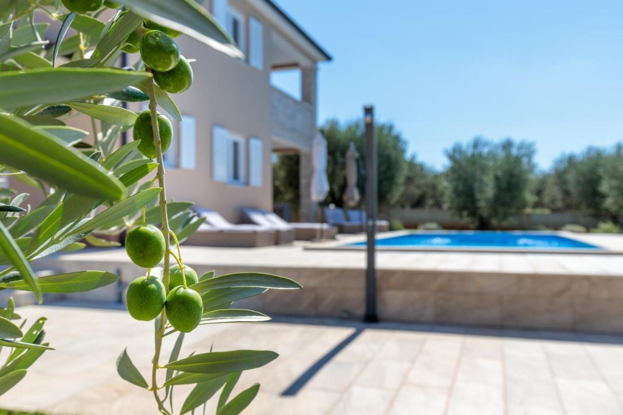 Villa Terlevic Selina Экстерьер фото